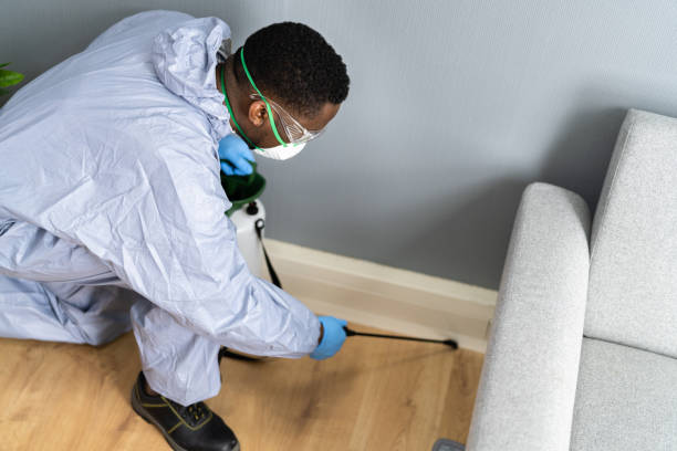 Best Residential Pest Control  in Danville, AR